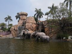 -美的鹭湖探索王国