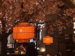 -桂满隴·站立的杭州(无锡八佰伴店)
