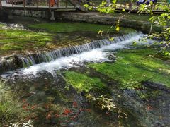 -水磨沟公园