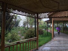 -武清南湖绿博园