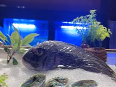 -月下料理(楷林IFC店)