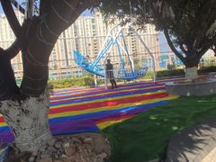 -东莞市体育中心体育馆