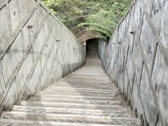 景点-九皇山景区