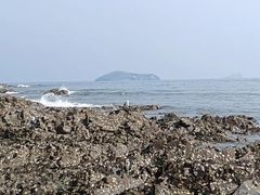 -银沙滩浴场