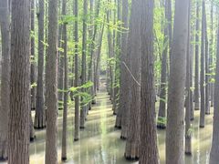 -采石矶景区