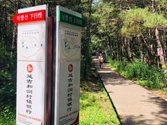 -帽儿山国家森林公园