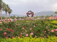 -亚龙湾国际玫瑰谷