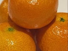 -南麓·浙里(外滩店)