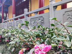 -余姚市灵岩禅寺