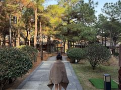 -东海森林温泉