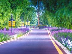 -七彩云南欢乐世界