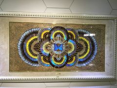 -上海昆虫博物馆