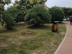-丁香湖公园