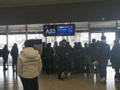 -合肥新桥国际机场-航站楼