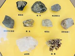 -湖南省地质博物馆