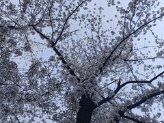 -苏州上方山国家森林公园