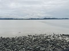 -深圳湾公园(南山区)