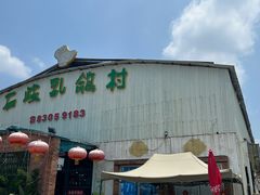 -石岐乳鸽村(桥观坊南四巷店)