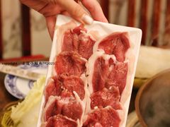 腱子肉-前门张记涮肉(前门店)