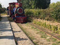 -永定河休闲森林公园