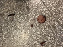 -巴人堂(女儿城店)