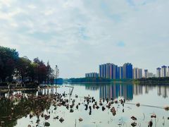 -飞来湖湿地公园