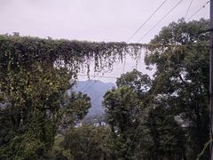 -南山植物园