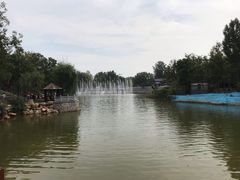 -淄博花灯齐彩城