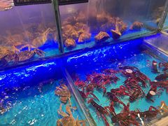 -SEA西雅图海鲜自助餐厅(海乐世界店)