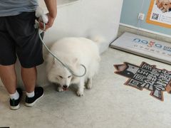 -纳吉亚猫专科动物医院·北北分院