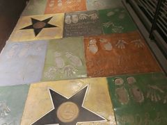 -星辰9号幻影会