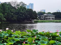 -荔湾湖公园