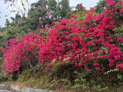 -广州市干部健康管理中心