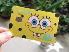 -招商银行(上海成山路支行)