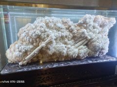 -湖南省地质博物馆