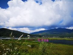-腾冲北海湿地