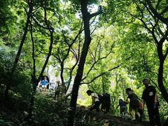 -惠山国家森林公园