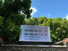 -上海共青森林公园