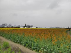 -中国天府农业博览园