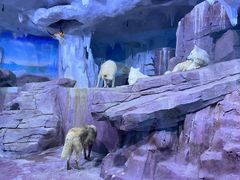 -多彩贵州城极地海洋世界