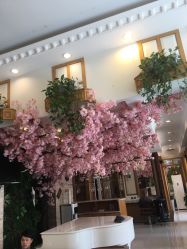 -逸丝风尚