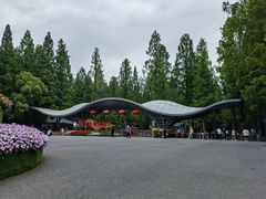 -东平国家森林公园