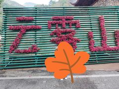 -木兰云雾山