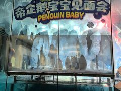 -帝企鹅自助餐厅•儿童岛•真企鹅(长隆企鹅酒店)