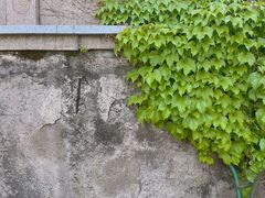 -苏州上方山国家森林公园