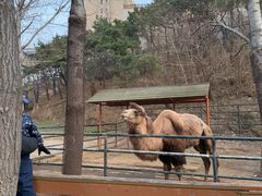 -大连森林动物园