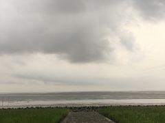 -南汇嘴观海公园