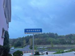 -大塘金香草谷