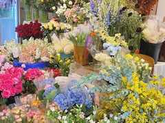 -知物癖(牛王庙店)
