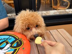 -Grande A'moo(上海万象城店)